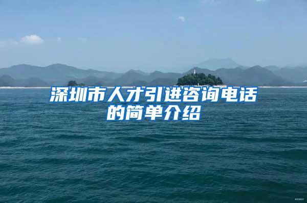 深圳市人才引进咨询电话的简单介绍