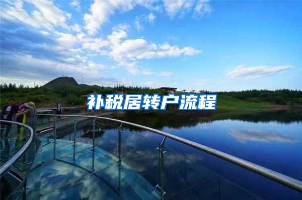 补税居转户流程