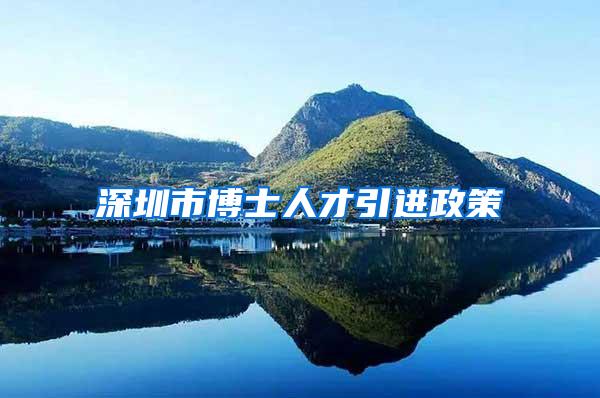 深圳市博士人才引进政策