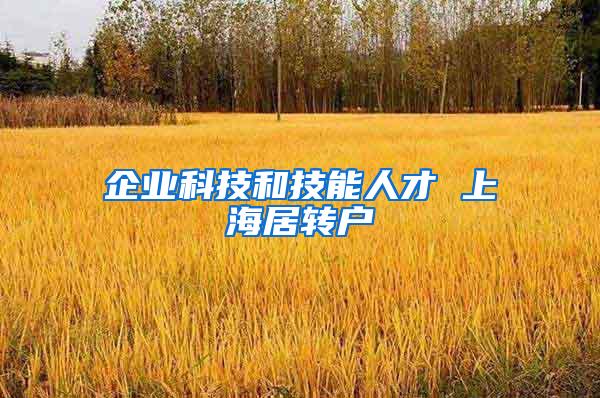 企业科技和技能人才 上海居转户