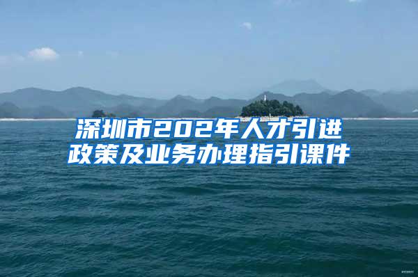 深圳市202年人才引进政策及业务办理指引课件