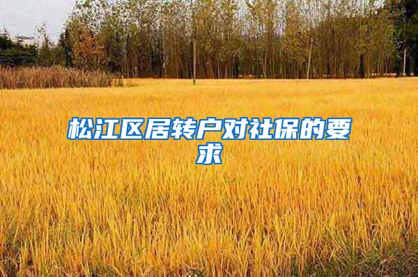 松江区居转户对社保的要求