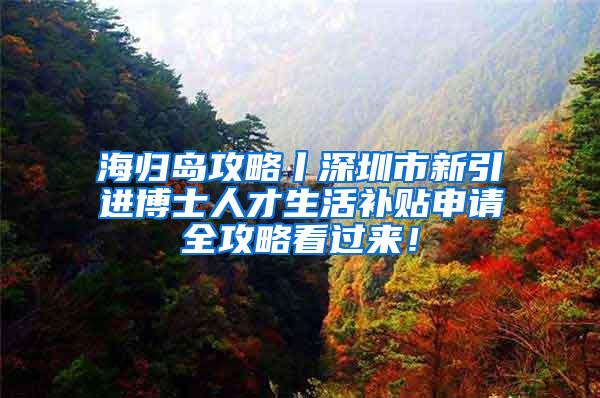 海归岛攻略丨深圳市新引进博士人才生活补贴申请全攻略看过来！