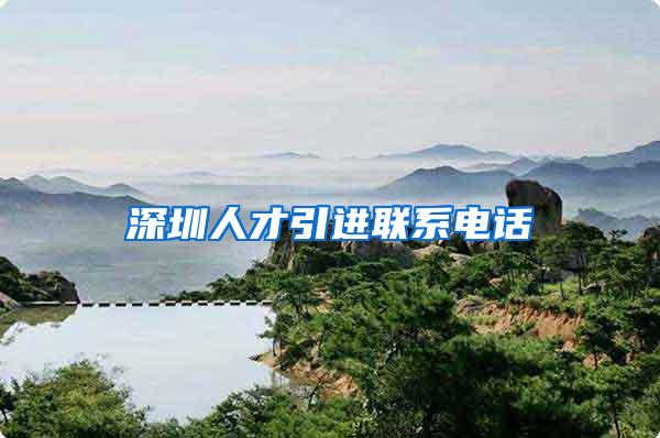 深圳人才引进联系电话