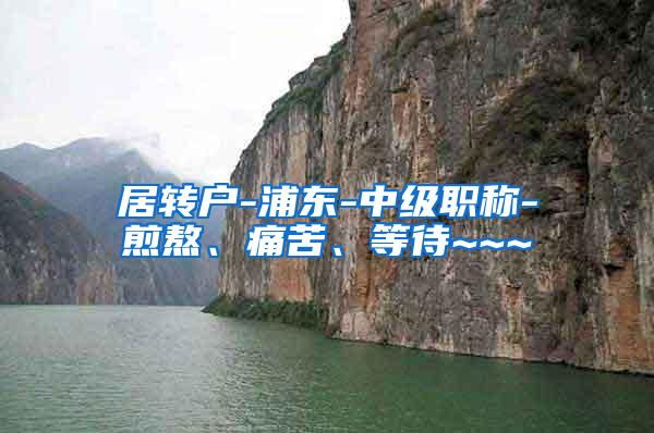 居转户-浦东-中级职称-煎熬、痛苦、等待~~~