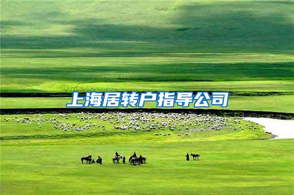 上海居转户指导公司