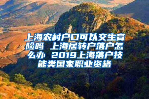 上海农村户口可以交生育险吗 上海居转户落户怎么办 2019上海落户技能类国家职业资格