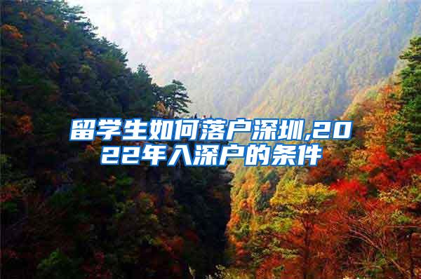 留学生如何落户深圳,2022年入深户的条件