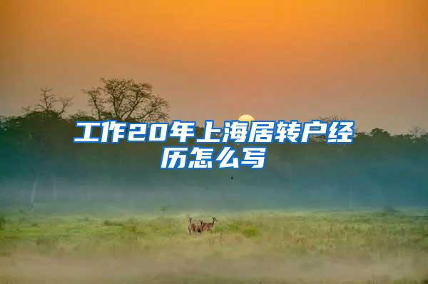 工作20年上海居转户经历怎么写