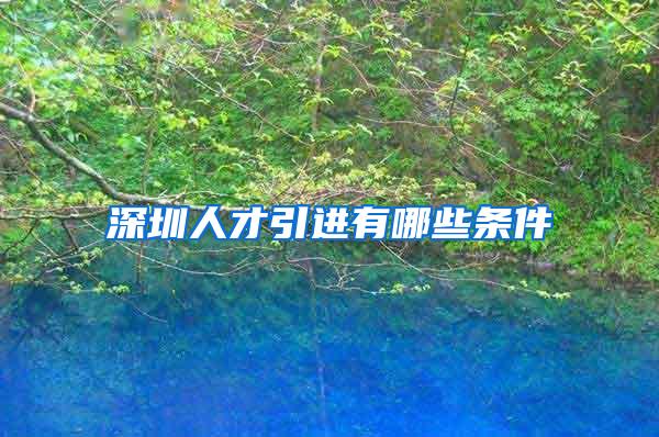 深圳人才引进有哪些条件