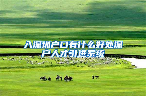 入深圳户口有什么好处深户人才引进系统