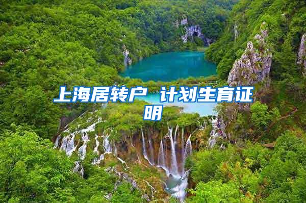 上海居转户 计划生育证明
