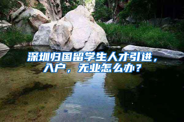 深圳归国留学生人才引进，入户，无业怎么办？