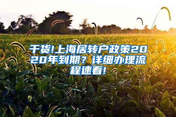 干货!上海居转户政策2020年到期？详细办理流程速看!