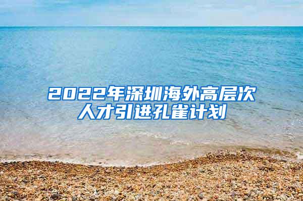 2022年深圳海外高层次人才引进孔雀计划