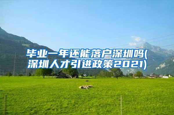 毕业一年还能落户深圳吗(深圳人才引进政策2021)