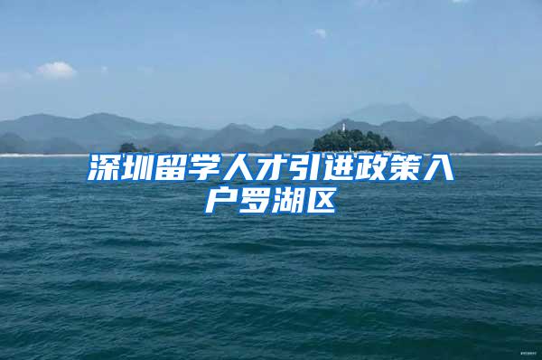 深圳留学人才引进政策入户罗湖区