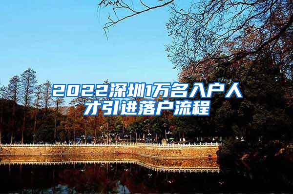 2022深圳1万名入户人才引进落户流程