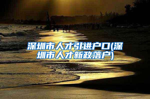深圳市人才引进户口(深圳市人才新政落户)