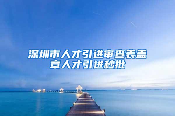 深圳市人才引进审查表盖章人才引进秒批