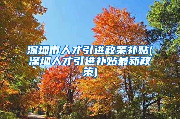 深圳市人才引进政策补贴(深圳人才引进补贴最新政策)
