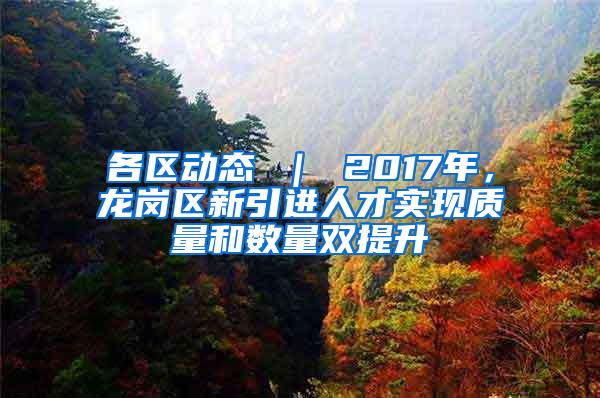 各区动态 ｜ 2017年，龙岗区新引进人才实现质量和数量双提升