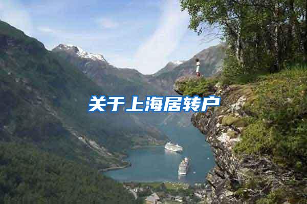 关于上海居转户