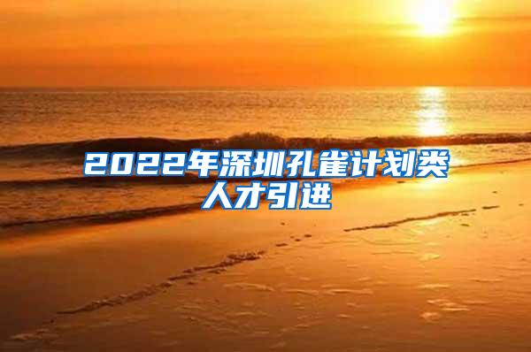 2022年深圳孔雀计划类人才引进