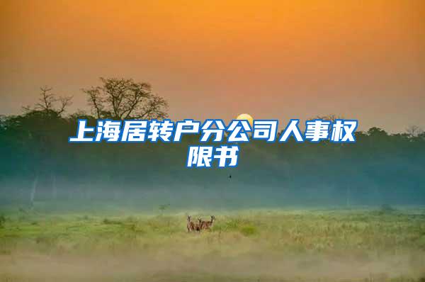 上海居转户分公司人事权限书