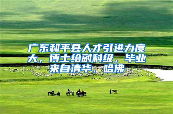 广东和平县人才引进力度大，博士给副科级，毕业来自清华、哈佛