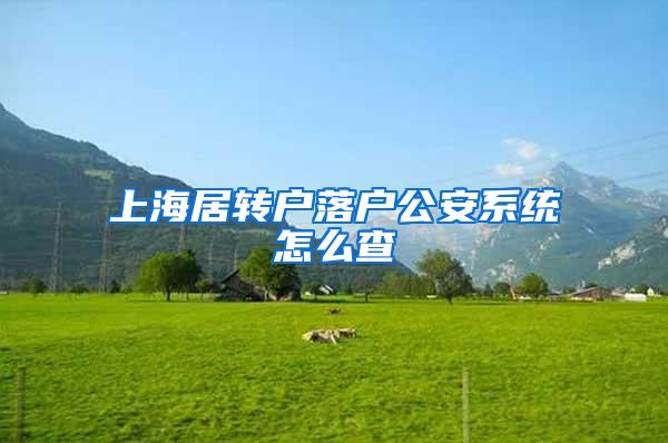上海居转户落户公安系统怎么查