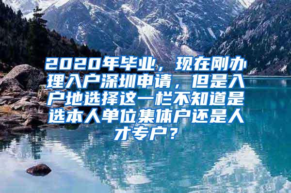 2020年毕业，现在刚办理入户深圳申请，但是入户地选择这一栏不知道是选本人单位集体户还是人才专户？