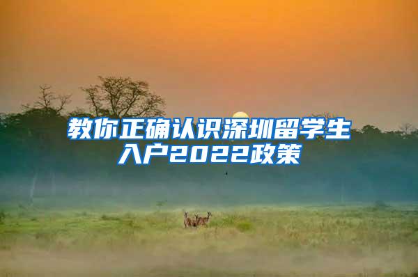 教你正确认识深圳留学生入户2022政策