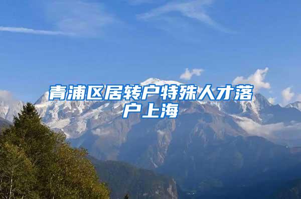 青浦区居转户特殊人才落户上海