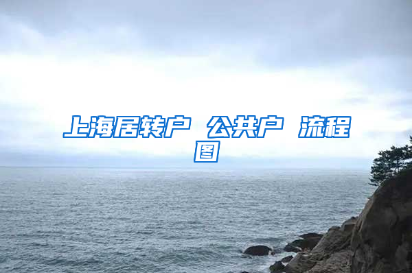 上海居转户 公共户 流程图