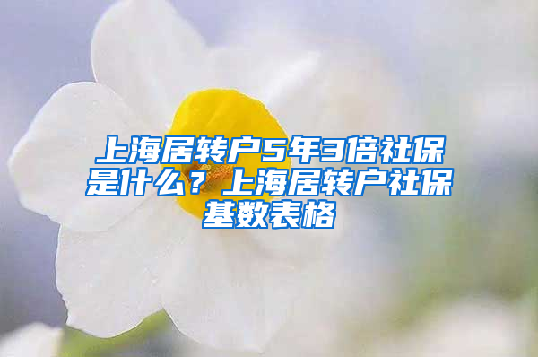 上海居转户5年3倍社保是什么？上海居转户社保基数表格