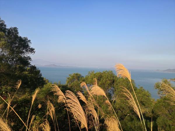 深圳积分入户是要排队么