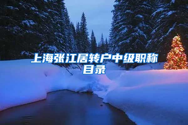 上海张江居转户中级职称目录