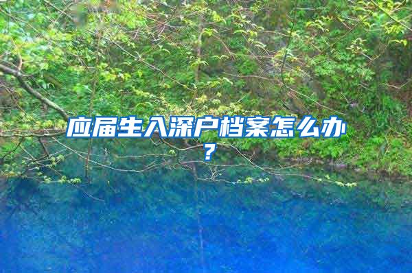 应届生入深户档案怎么办？