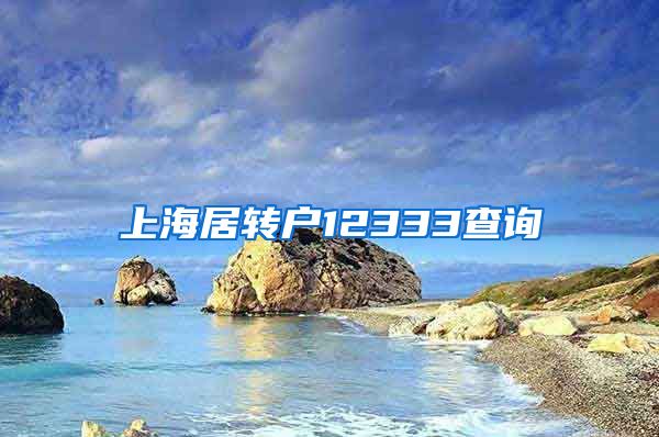 上海居转户12333查询