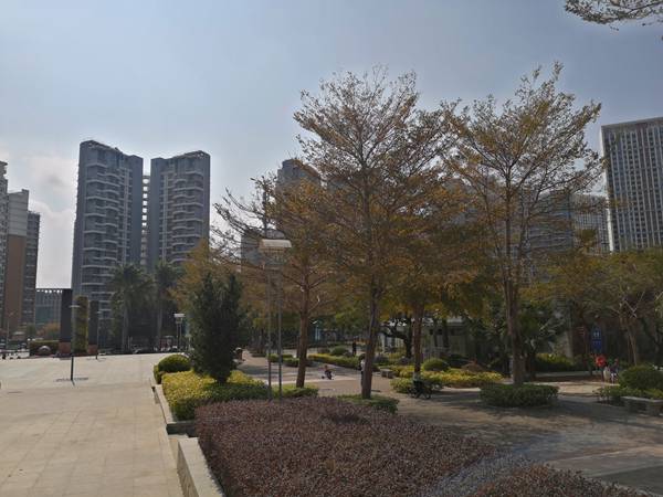 深圳积分入户微信办理