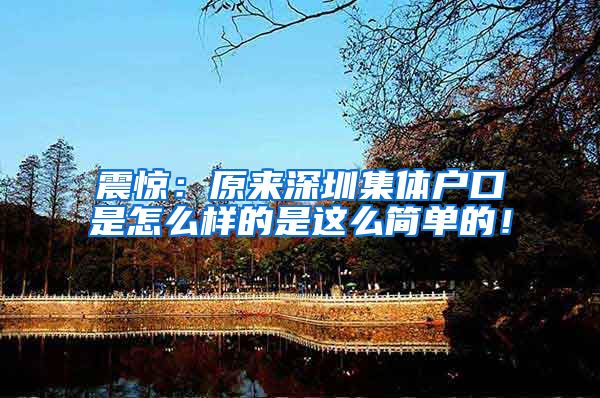 震惊：原来深圳集体户口是怎么样的是这么简单的！