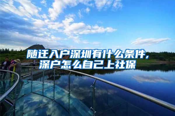 随迁入户深圳有什么条件,深户怎么自己上社保