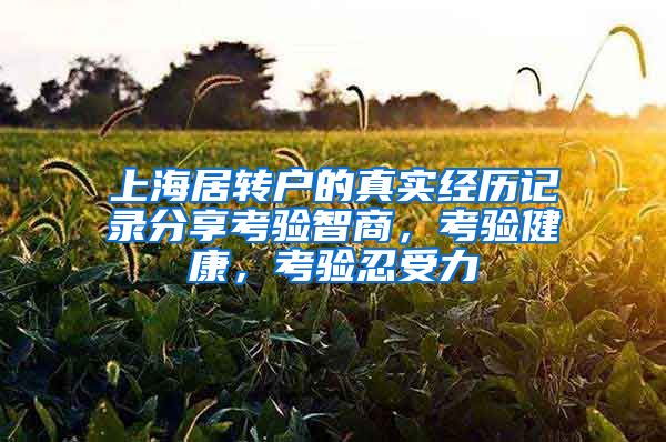 上海居转户的真实经历记录分享考验智商，考验健康，考验忍受力