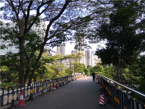 深圳什么叫集体户口