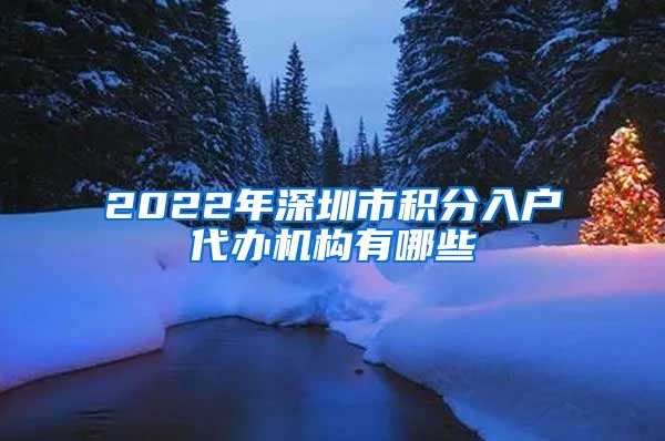 2022年深圳市积分入户代办机构有哪些