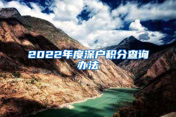 2022年度深户积分查询办法