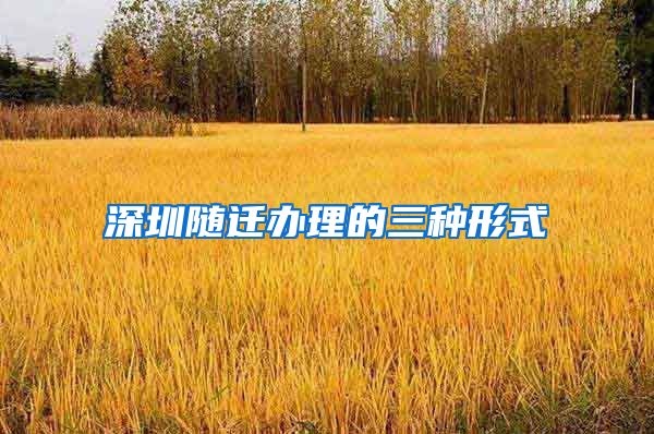 深圳随迁办理的三种形式