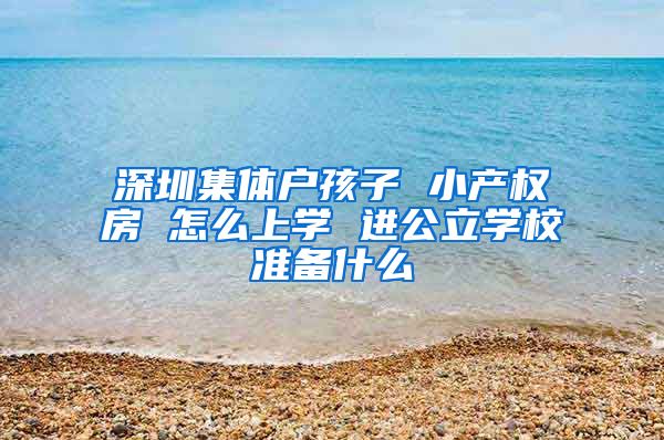 深圳集体户孩子 小产权房 怎么上学 进公立学校准备什么