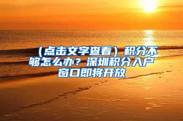（点击文字查看）积分不够怎么办？深圳积分入户窗口即将开放